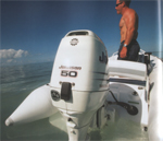 Johnson 50